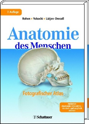 Anatomie des Menschen