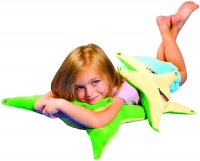 Lachender Sternfisch - Seestern bei ARIADNE Lachender Sternfisch - Seestern bei ARIADNE