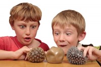 Sensorisches Schlangenball-Set bei ARIADNE Sensorisches Schlangenball-Set bei ARIADNE