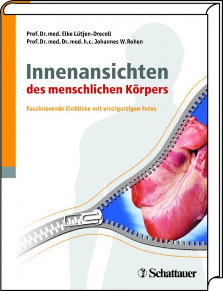 Lütjen-Drecoll/Rohen: Innenansichten des menschlichen Körpers